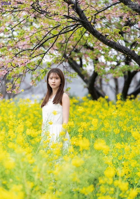 Sugawara Satsuki (Nogizaka46) Poster B