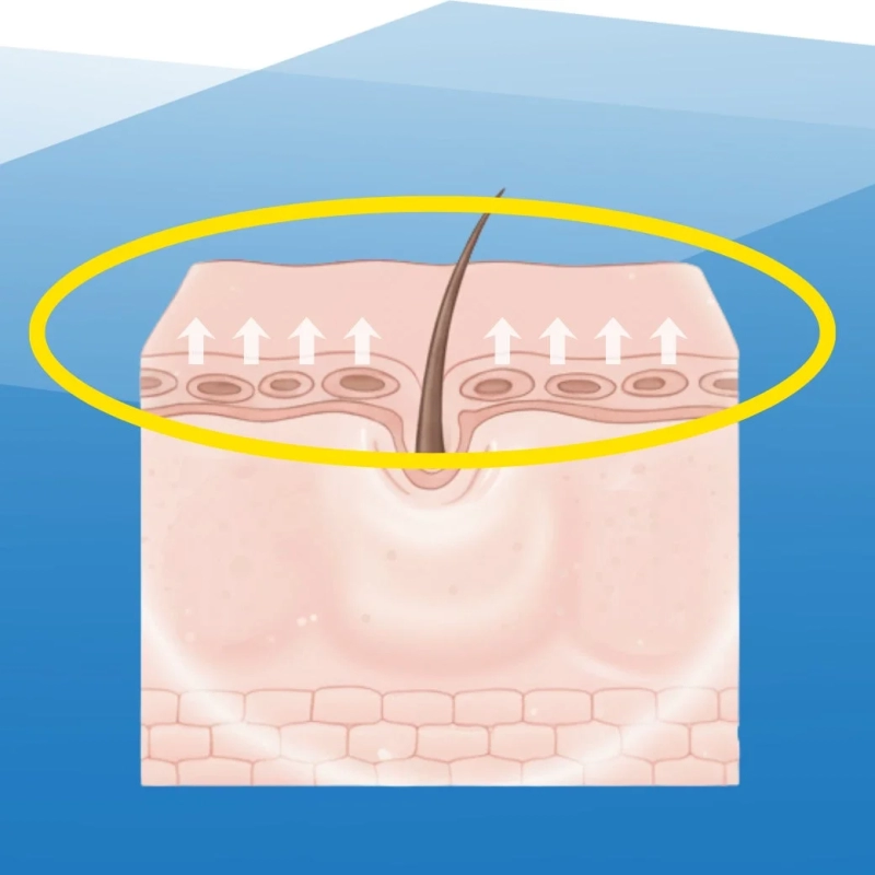 Firmness & Elasticity Care